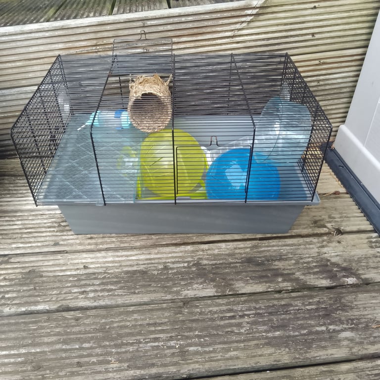 Hamster Cage For Sale 