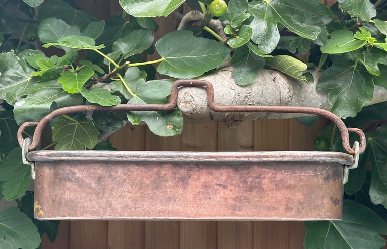 ANTIQUE FRENCH COPPER FISH KETTLE, PAN, JARDINIERE, PLANTER, 58cm long 4kg - 1900s - WILL POST!