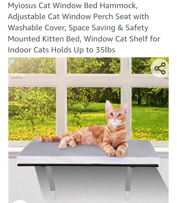 Cat window bed/perch