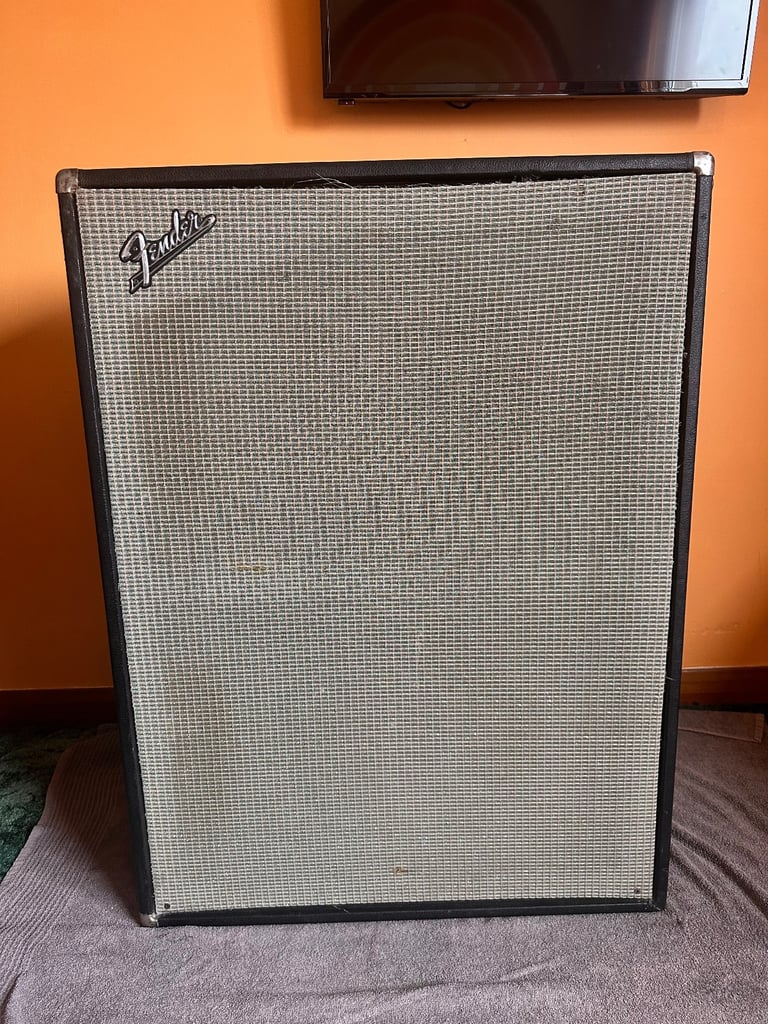 1970s Fender Bassman VT 15’’ Cabinet