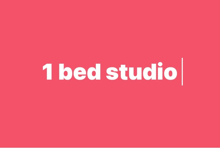1 bed studio