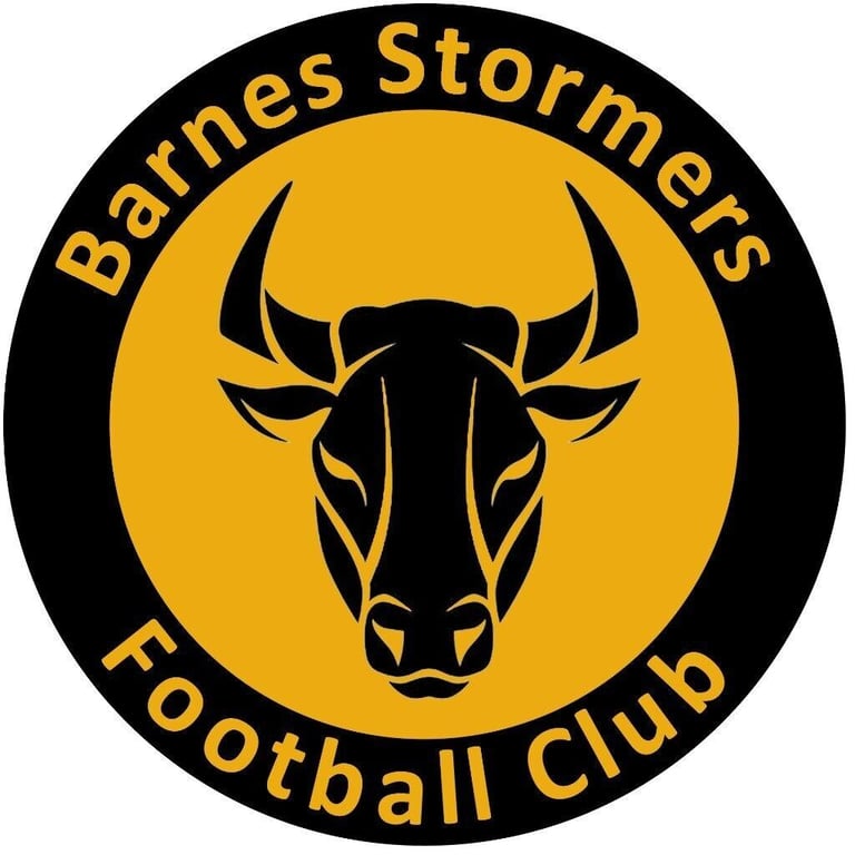 Barnes Stormers FC Mens Football Club looking for players of all ...