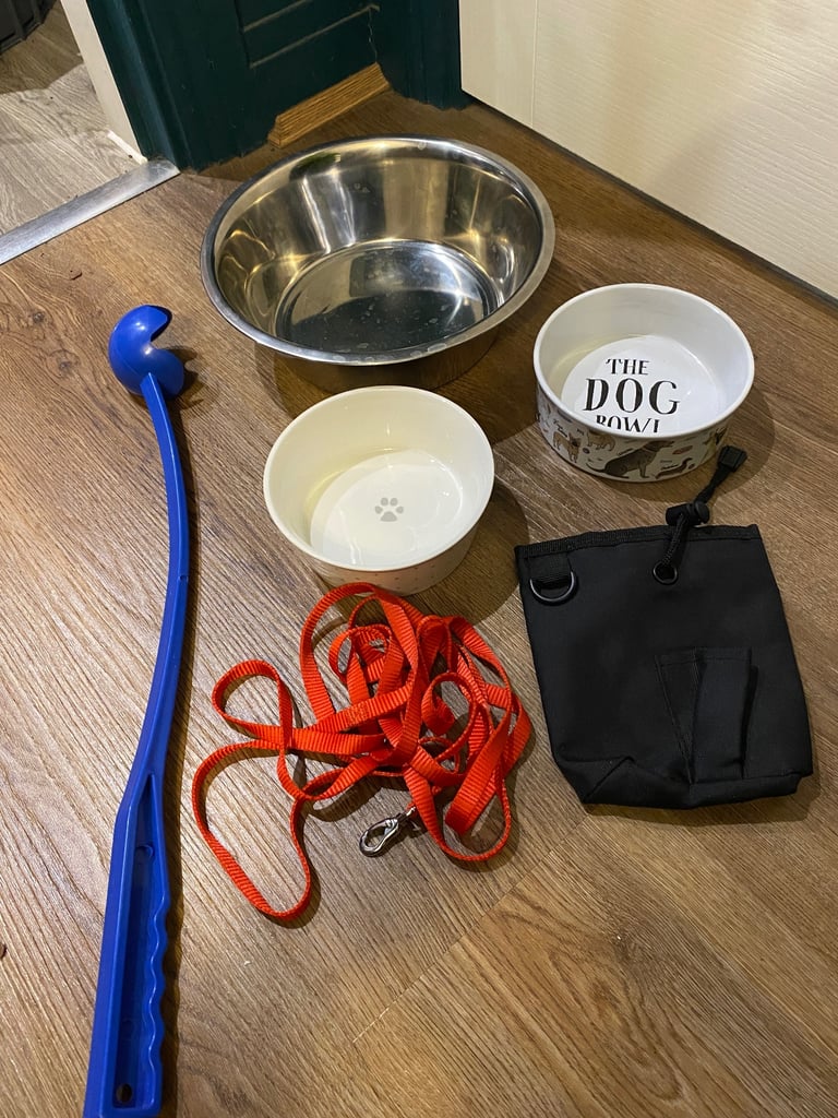 Pet/ dog accessories 