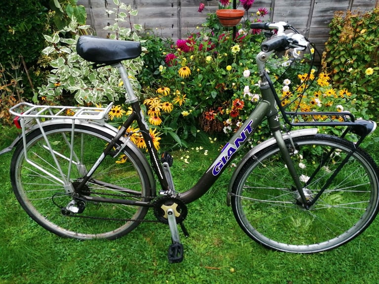 image for Ladies Giant Bicycle 