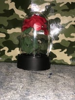 image for Rose light up cloche