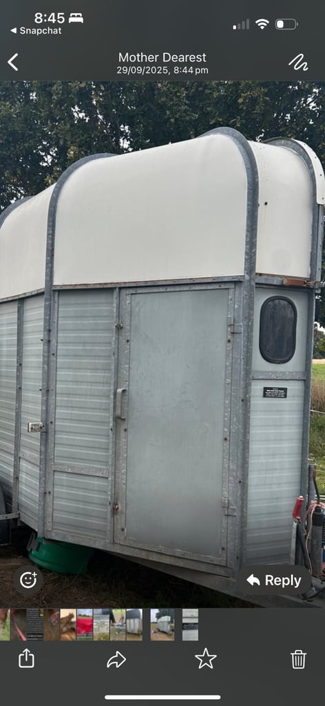 Horse trailer 