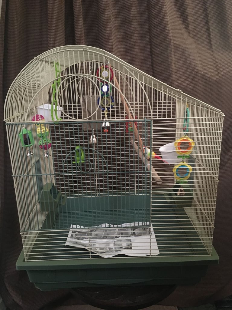 Large Bird Cage With Toys