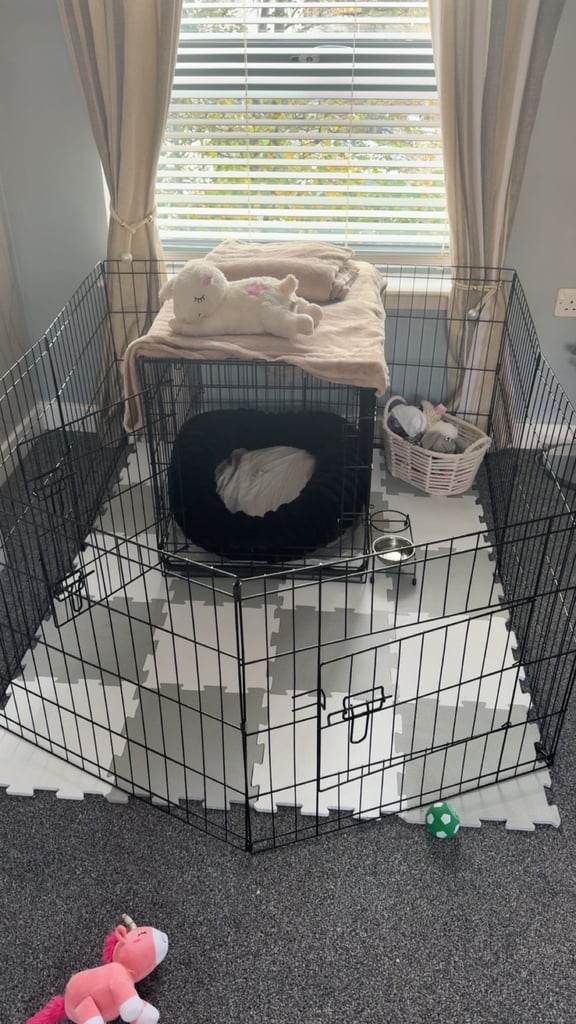 Puppy play pen 