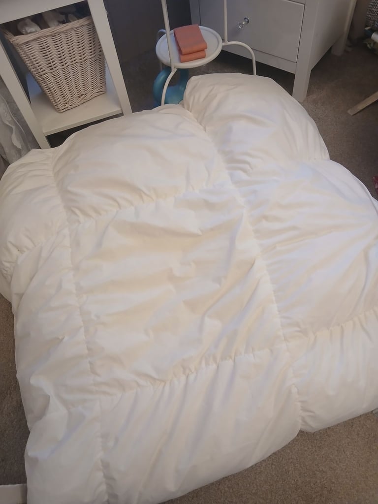 image for Free King Down Duvet 