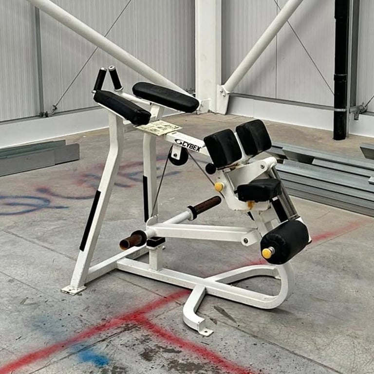 image for Cybex Kneeling Leg Curl