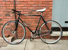 Single speed fixie 