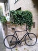 Bike for sale 