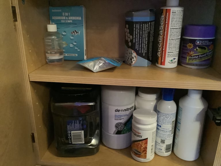 Contents of fish tank and accessories 