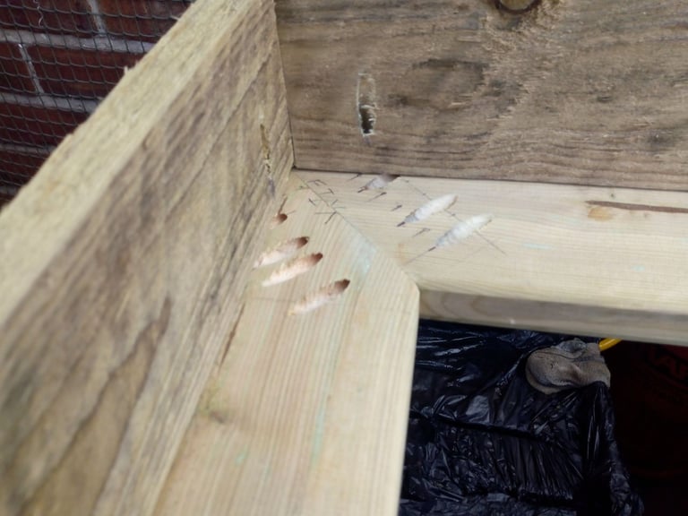 GRAVE SURROUNDS 'CUSTOM MADE TO ORDER'  £340 CASH ON COLLECTION