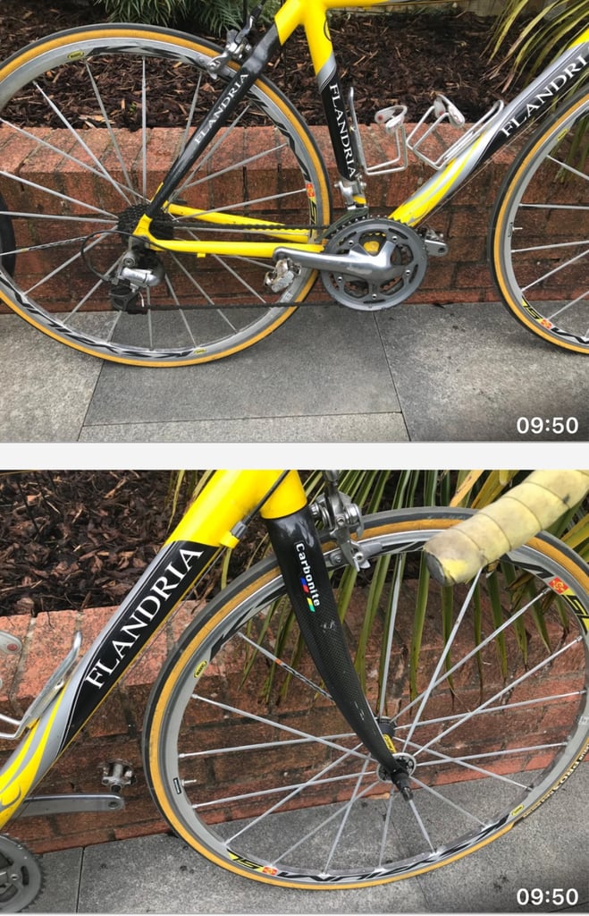 Flandria m2m bike