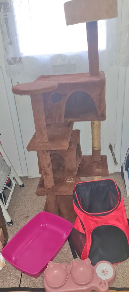 Cat tree and accessories for kittens