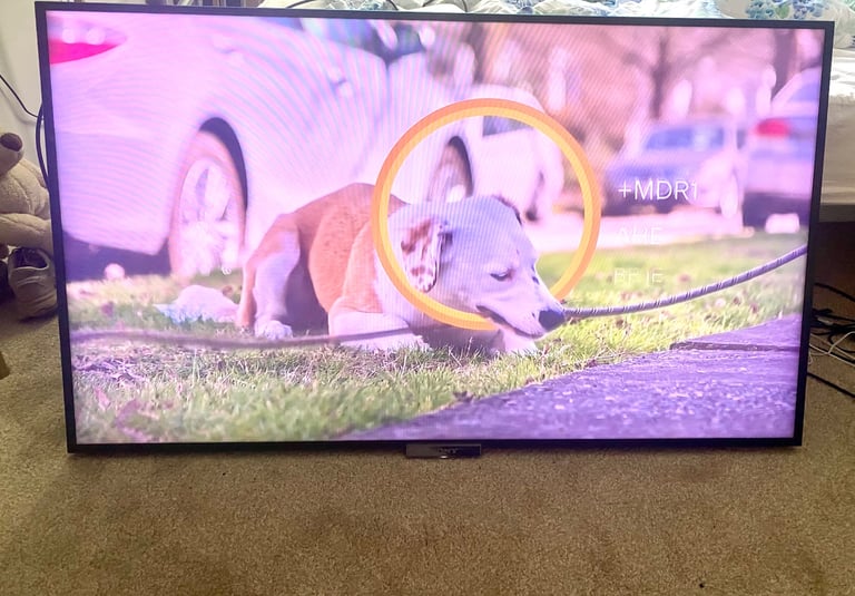 Sony Bravia 55 inch tv