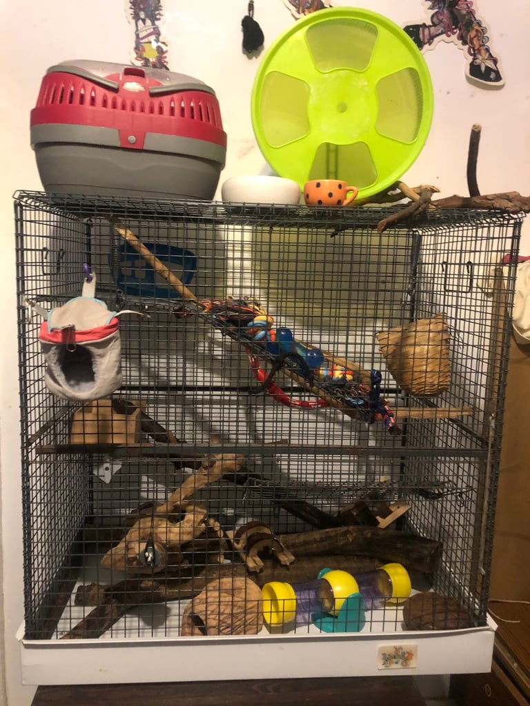 Large cage for rats, degus etc. including carry case, huge wheel, accessories, bowls and more 