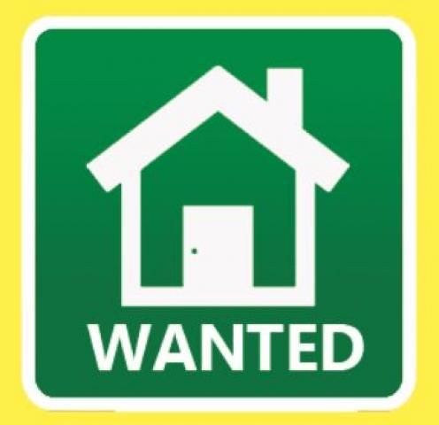 image for 1 or 2 bed flat wanted 