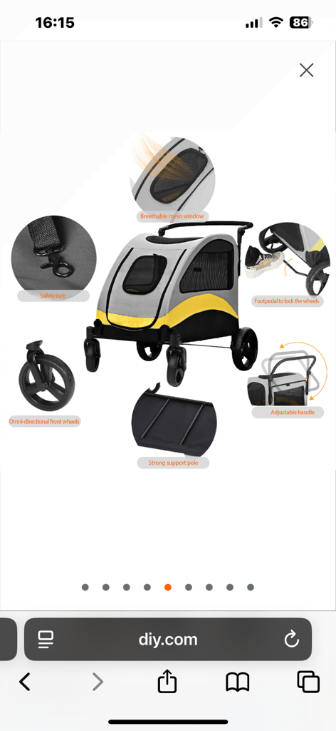 Dog buggy 