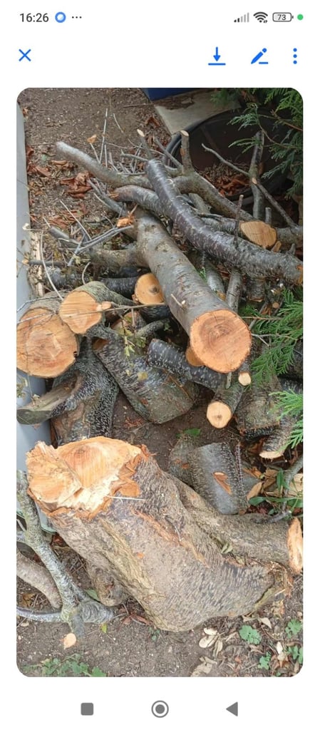image for Logs  for sale