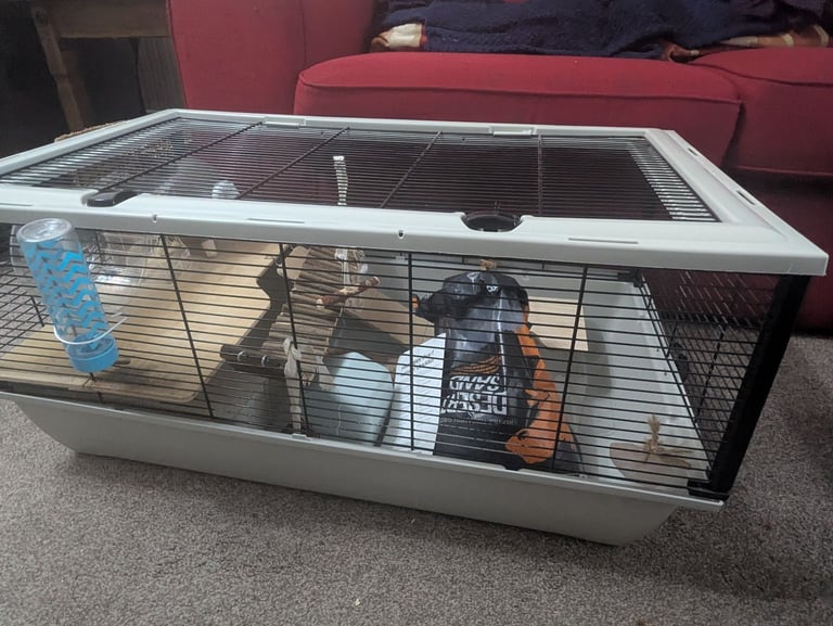 Large cage for hamster