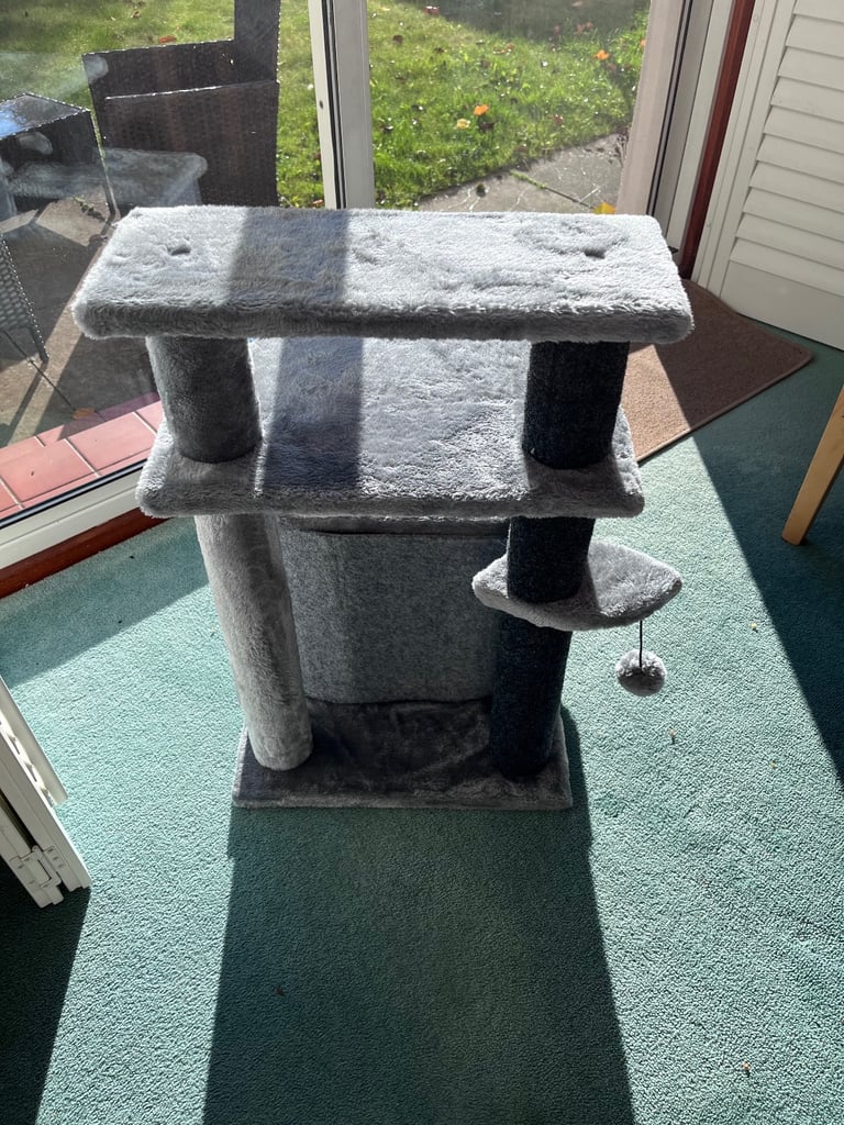 Cat Scratching Play Area 