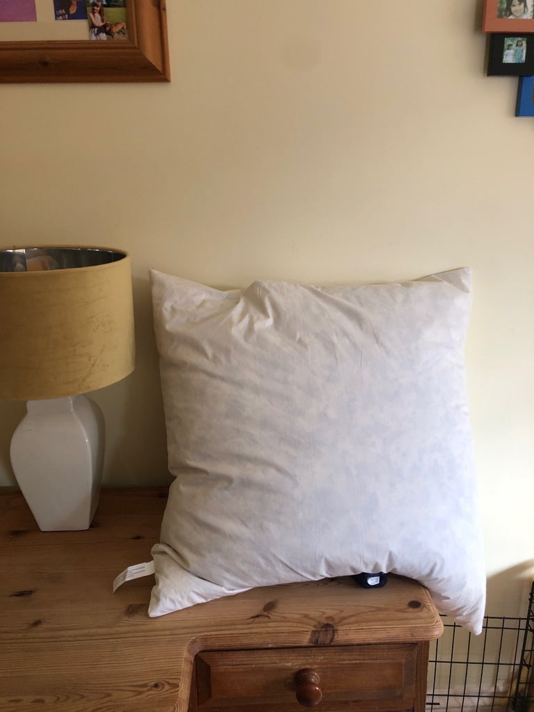 FREE. Large cushion. Ideal for crafters. 