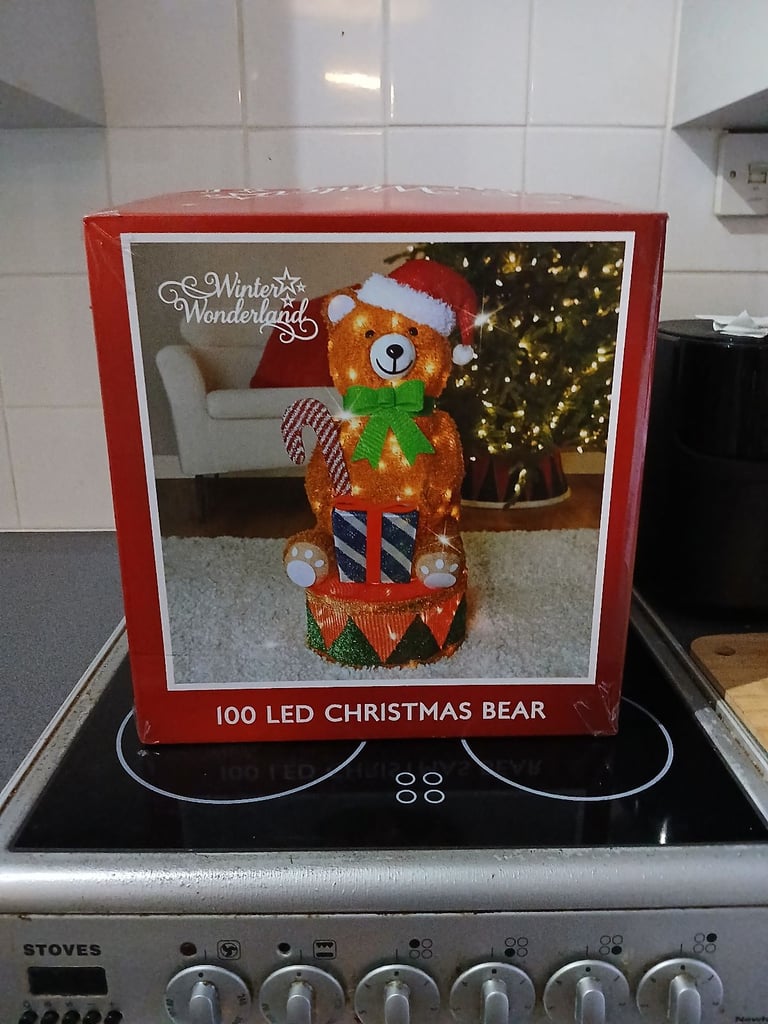 Teddy Christmas light 