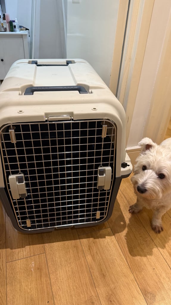 Pet Carrier/Cage for airlines