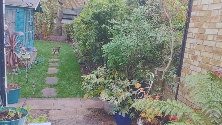 SWAP ONLY....My garden flat NW5, for your ground floor garden property 