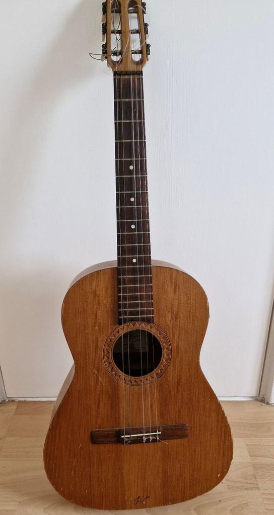 Hofner vienna guitar