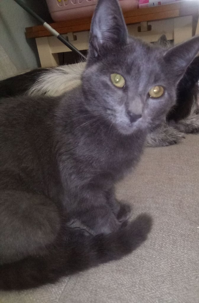 2 Beautiful girls looking for New homes