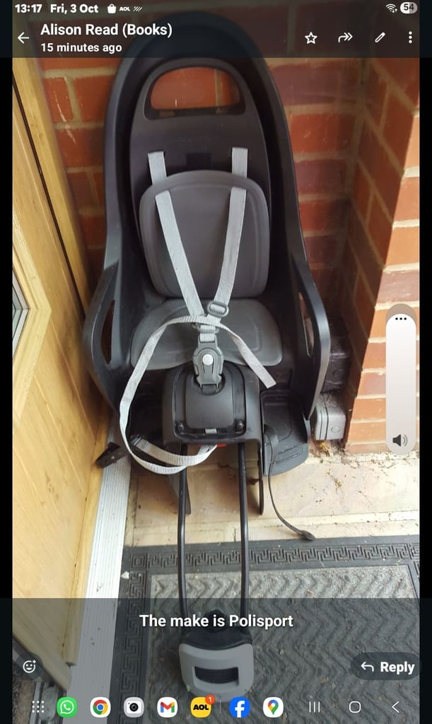 Childs bicycle seat