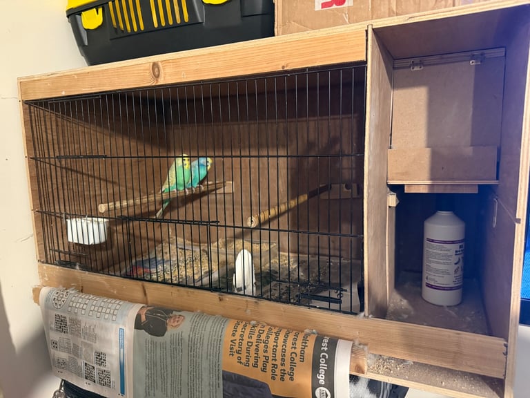 Wooden budgie breeding cage for sale