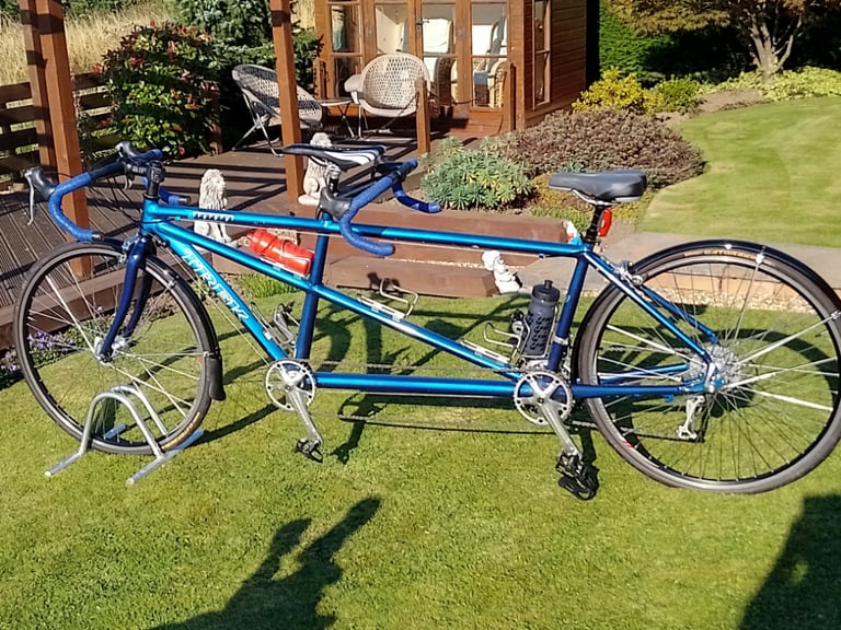 Tandem bike for store sale gumtree