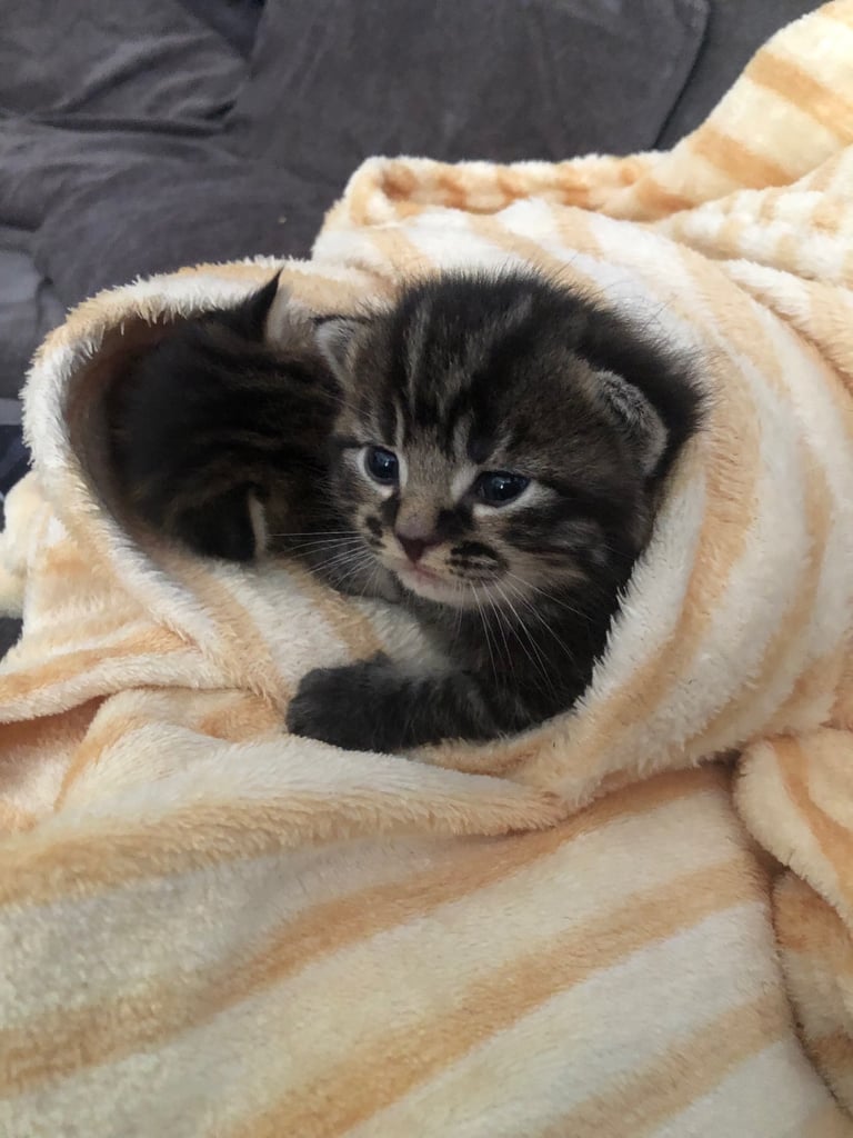 Ready to leave now !!!!!