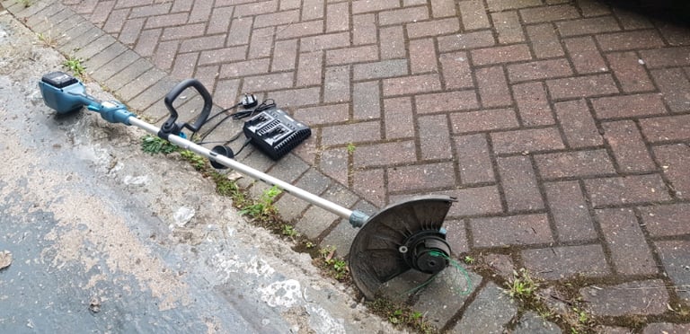 Cordless Strimmer 36v Wesco
