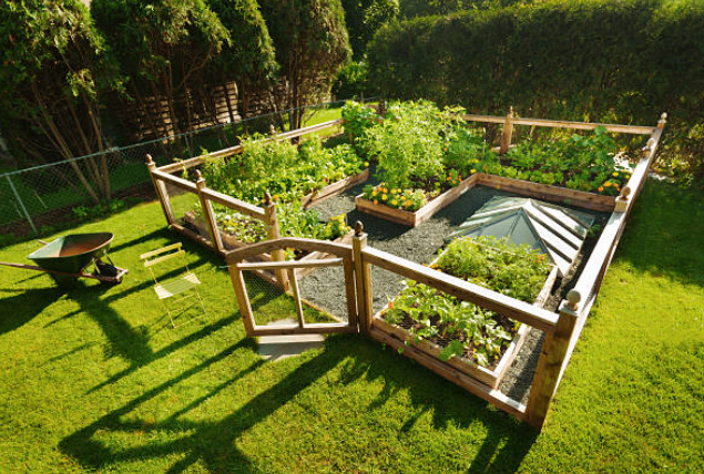 image for Garden & landscaping