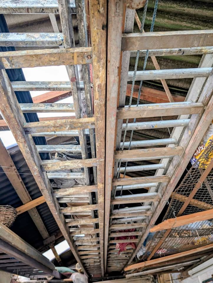 4 Huge Wooden Ladders