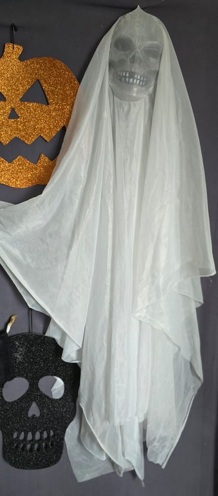 Selection of Halloween Decorations 