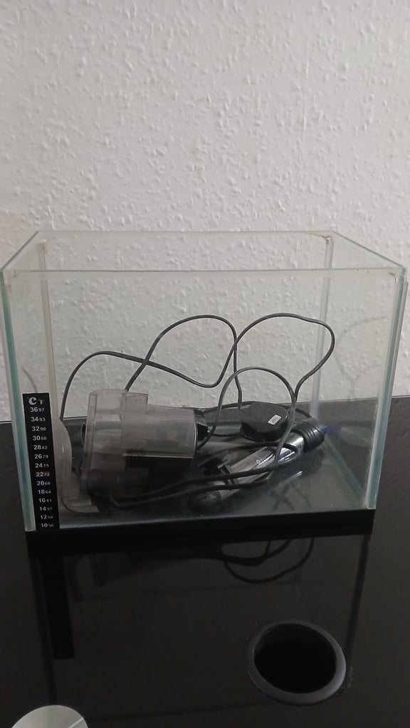 12L Fish Tank & Accessories 