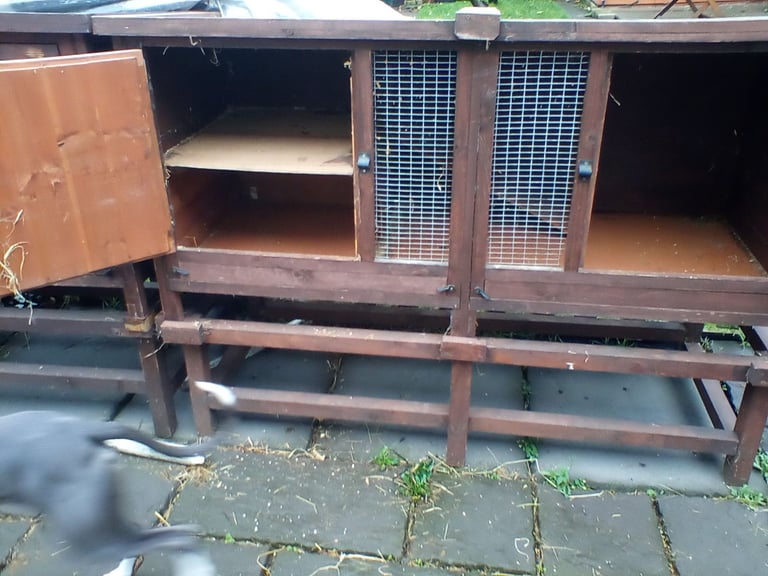 Guinea pig hutch