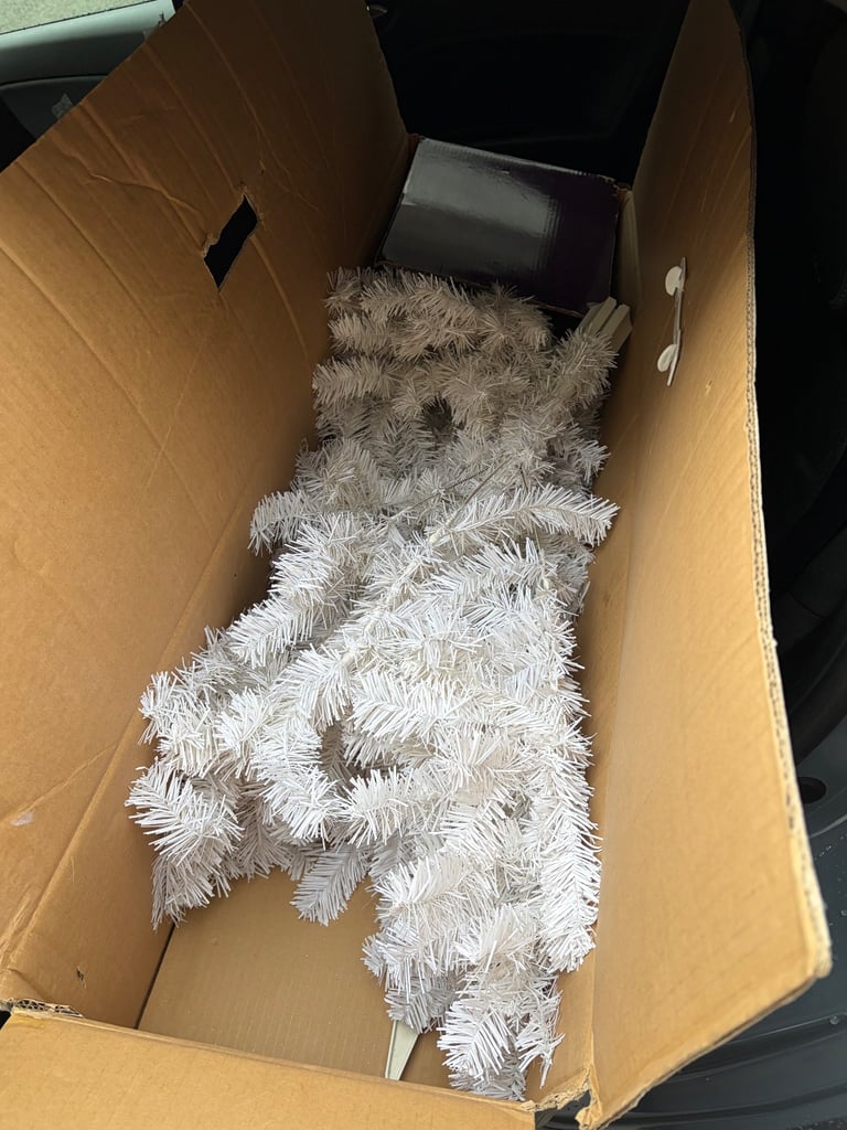 image for Free Christmas Tree