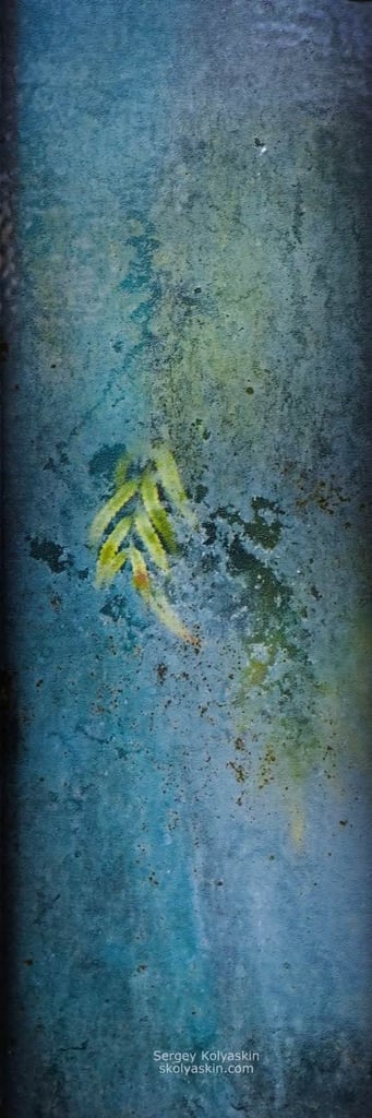 image for Photo collection &quot;Under the Glass&quot;