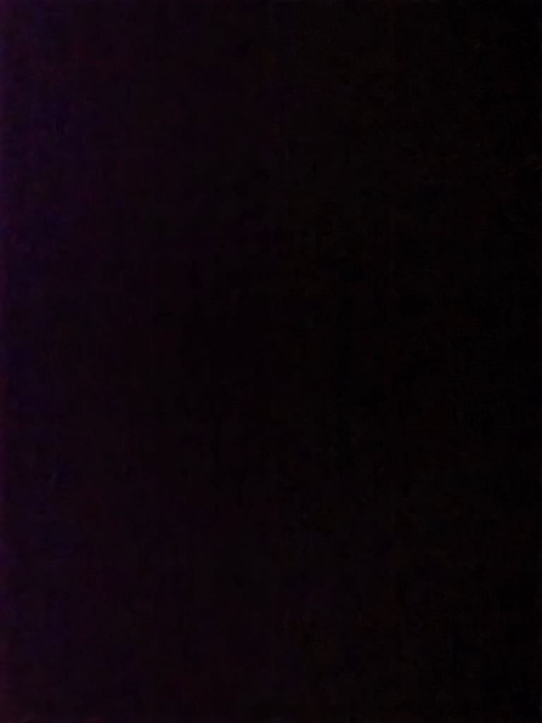 Bailey pageant champagne