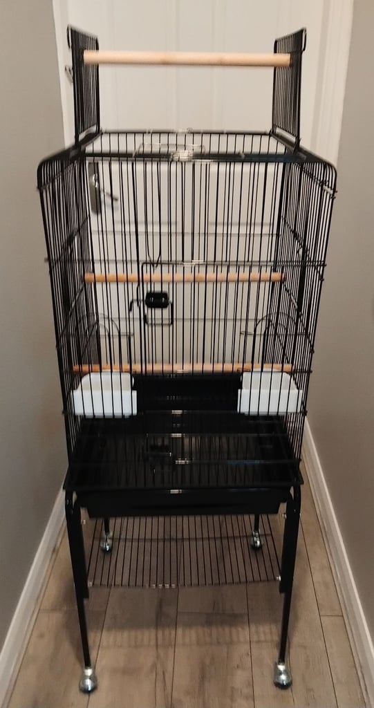 image for Bird cage