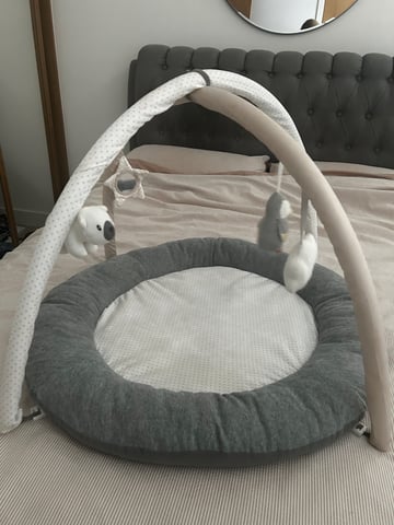 Gumtree hot sale baby gym