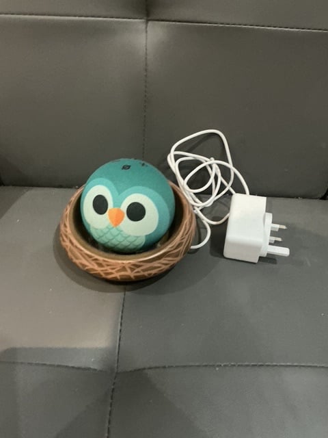 image for Echo dot kids Owl smart speaker with Alexa.