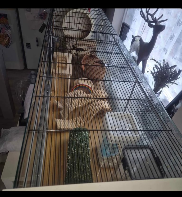 Hamster cage enclosure 